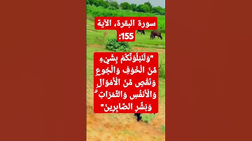 #القرآن_الكريم #المصحف #الرحمن #تلاوة_خاشعة #ترند #