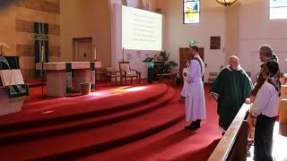 Fifth Sunday In Ordinary Time