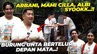 KEDATANGAN ARBANI, MAMI CILLA & ALBI BIKIN BURUNG UNTA GW BERTELUR..!!