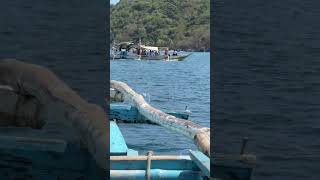 IMG 0679