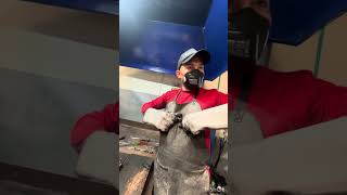 Conociendo la empresa Imbra y mapache en Colombia 🇨🇴 