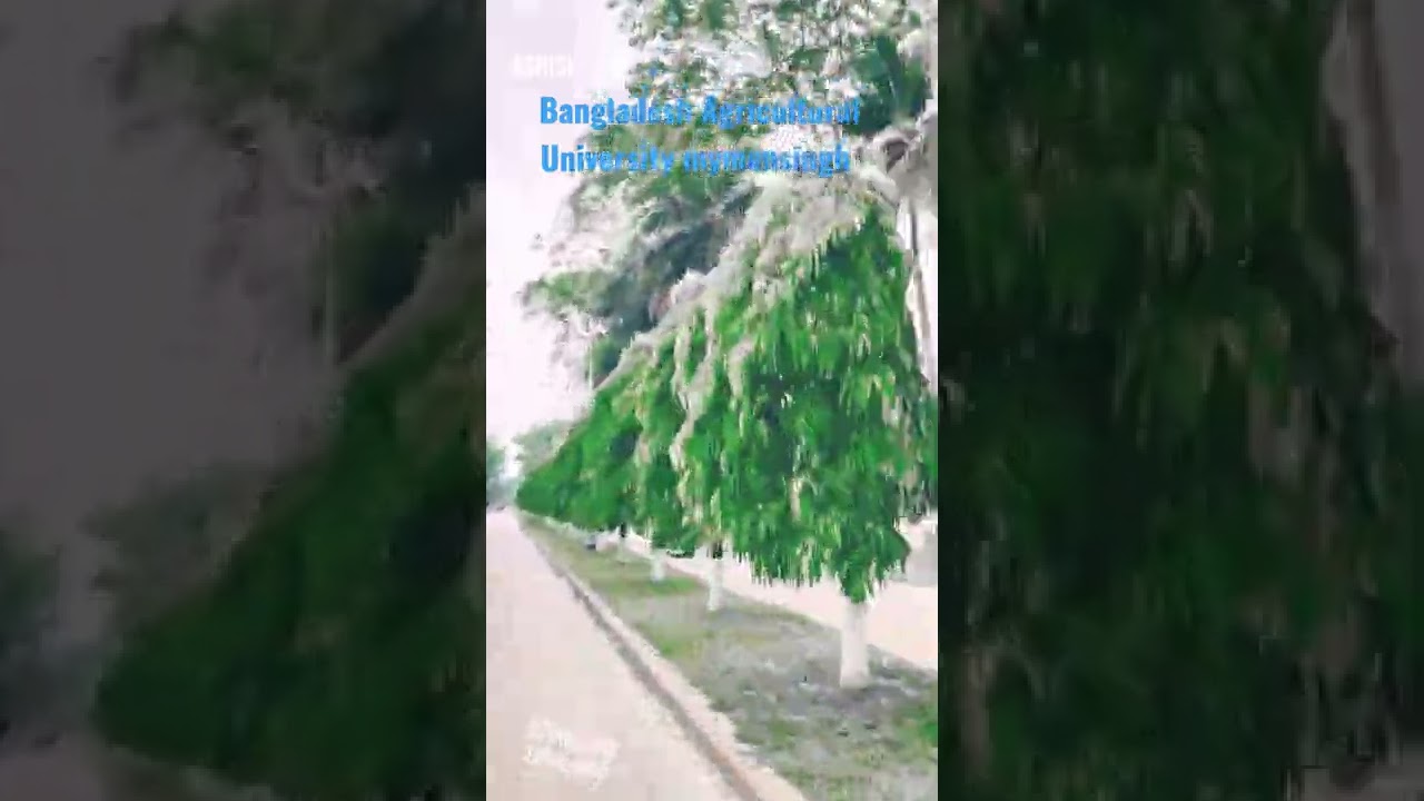 Bangladesh Agricultural University in mymensingh beauty ✌️✌️