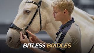 Bitless Bridles Explained | Choosing the Right Fit