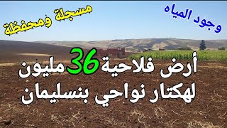 36مليون تشري هكتار في نواحي بنسليمان  ?