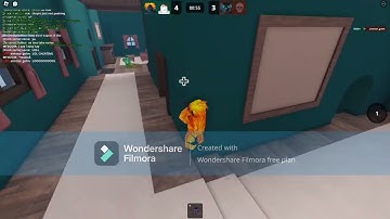 Folder Cheating in MVSD