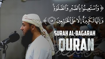التلاوة الذي ستدمن علی تلاوته🍁من لیالي رمضان🍁للقارئ سامي عبدالرحمن الکردي 🍁
