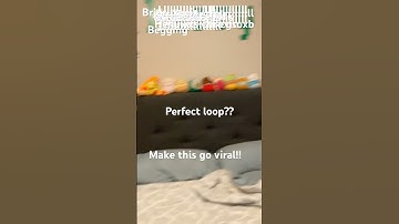 Don’t check the sound! #music #perfectloop #loop #viral