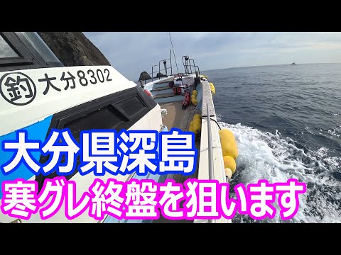 大分県深島で寒グレ終盤の超低水温でグレを狙っていきます