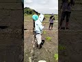 jika kamu makan tiga Seharii,berterima kasihlah kepada petaniii setidaknya tiga juga ...🌾 #tandur