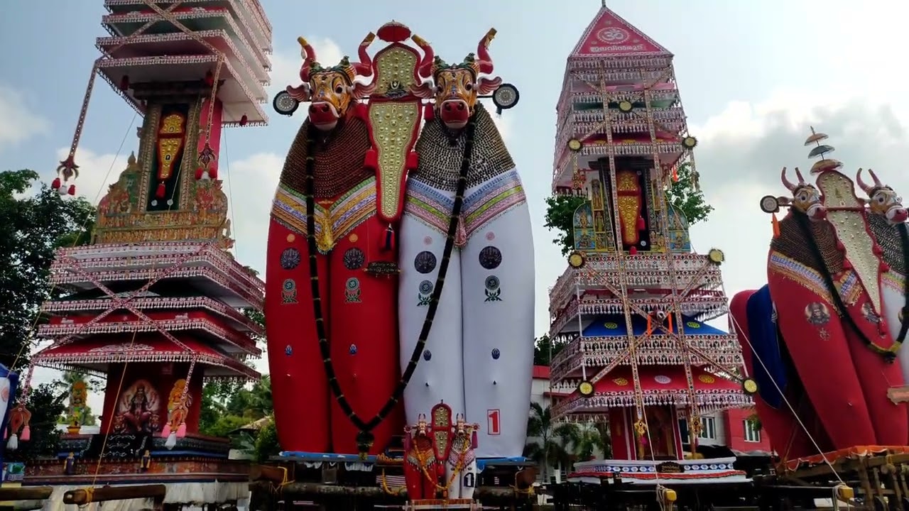 ഞങ്ങളുടെ നാട്ടിലെ ഏറ്റവും പ്രധാനപ്പെട്ട ഉത്സവം