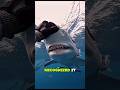 A Shark Never Forgot This Man🥺🦈 #short #shark