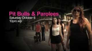 Pit Bulls & Parolees