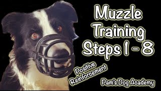 Muzzle Training: Step 1 -8 Positive Reinforcement
