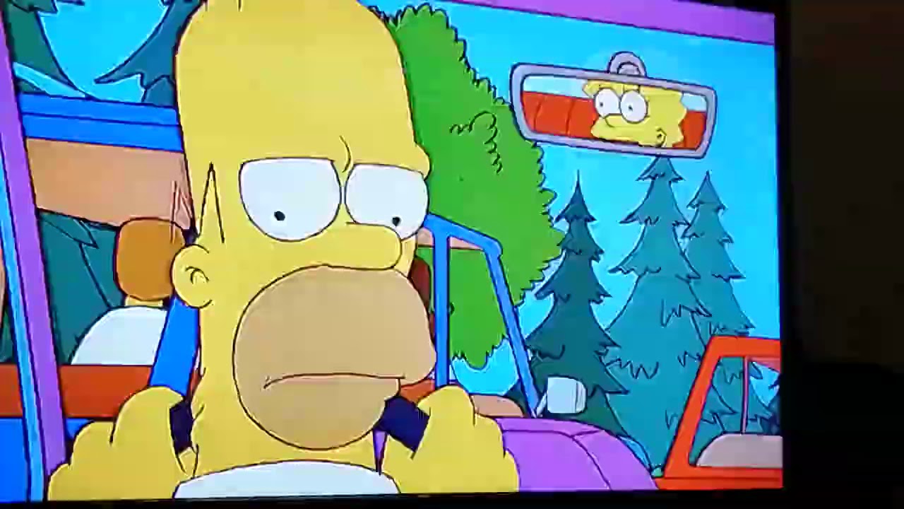 Homer Simpson see everything