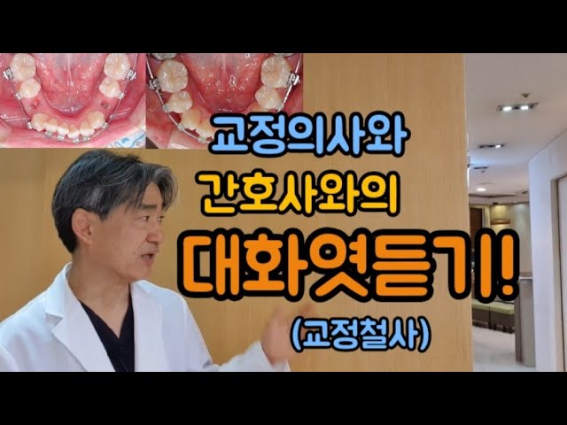 치아교정에 사용되는 교정철사와 종류를 간단명료하게 설명!