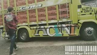 Story wa DEWA CINTA Truk ayam