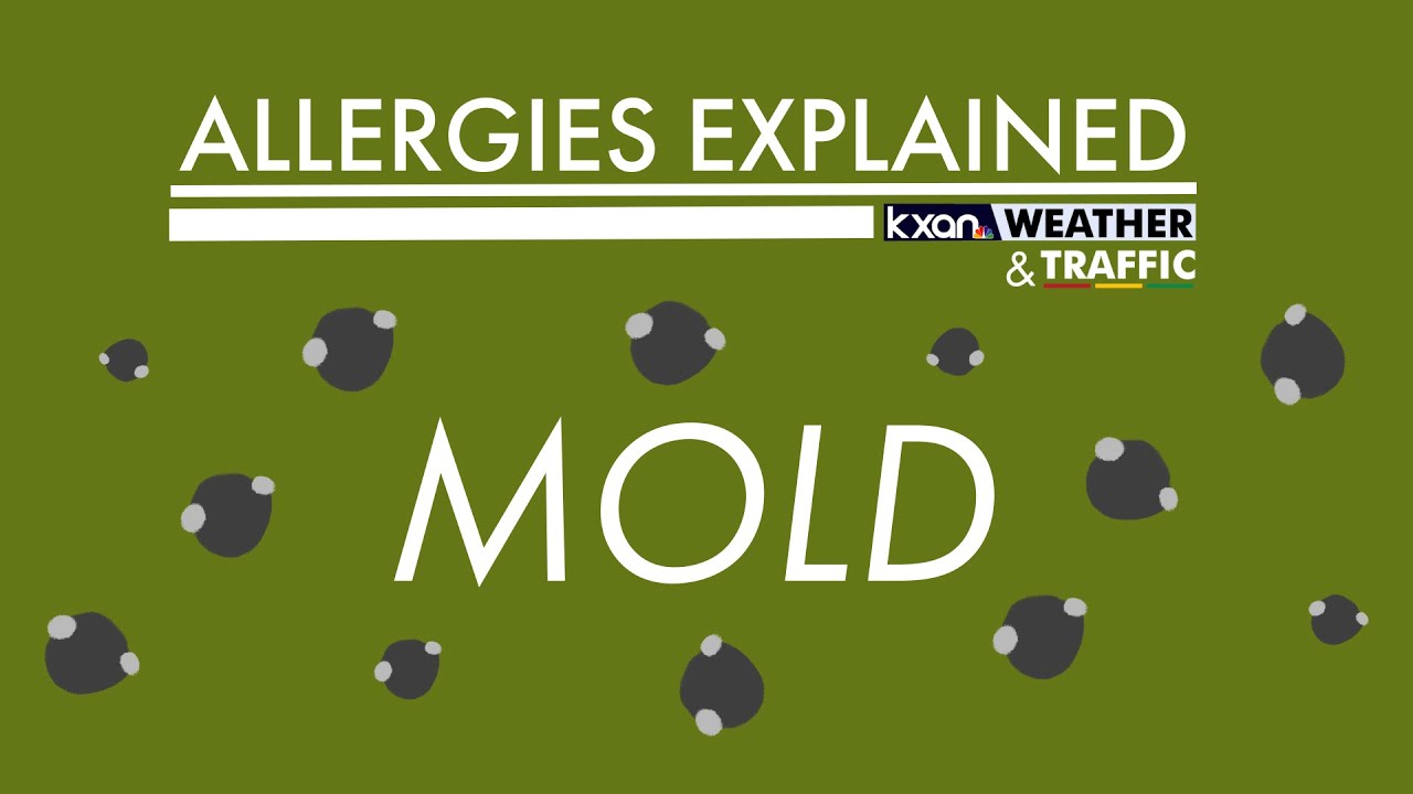 Austin Pollen | Austin pollen count allergy cedar mold ragweed oak