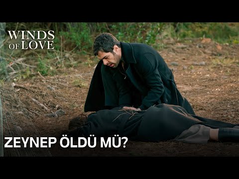 Zeynep kaza geçirdi | Rüzgarlı Tepe 19. Bölüm