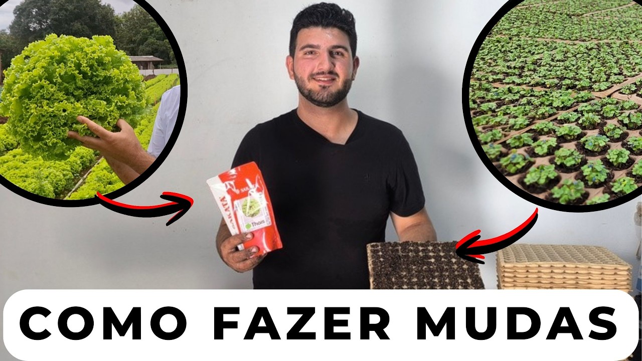 COMO FAZER MUDAS DE ALFACE - RUCULA E COENTRO