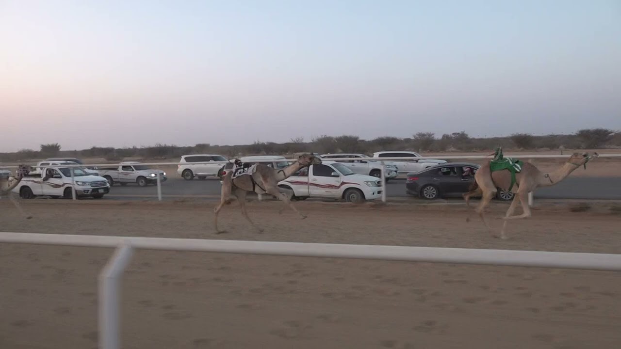 ش4 قعدان مفاريد 1447/09/10هـ - 2026/02/27م (العابر) أحمد عبيدالله عبيد القرشي