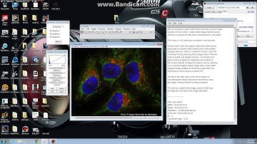 Export Color Images from ImageJ