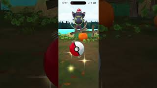 Evolve 3 Dark-type Pokemon #shorts #pokemongo Evolve 3 Dark-type Pokemon #shorts #pokemongo