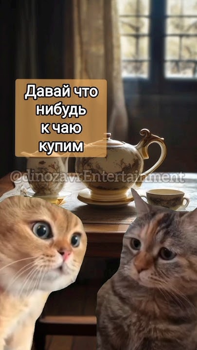 К чаю #мем #мемы #мемныекоты #котыговорят #говорящиекоты #анекдот #угар ...
