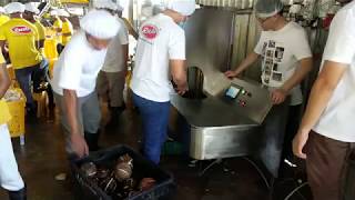 How to peel a Brown coconut in 8seconds?Coconut Testa Peeling Machine