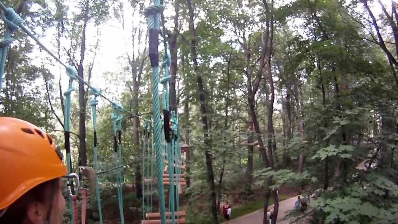 панда парк фили фото