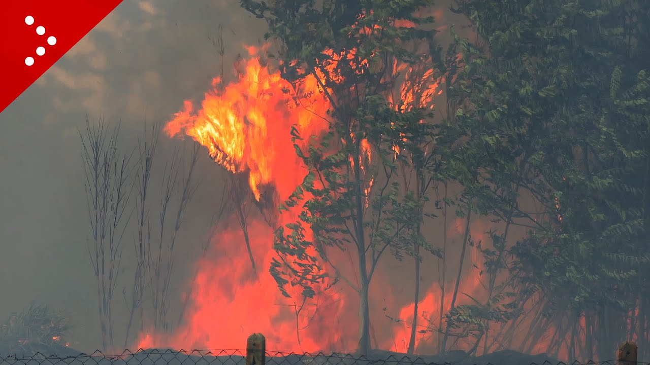 Maxi incendio a Roma tra Torre Spaccata e Cinecittà: 4 soccorritori gravi, le immagini del fiamme