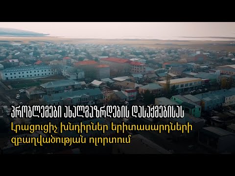 პრობლემები ახალგაზრდების დასაქმებისას - Լրացուցիչ խնդիրներ երիտասարդների զբաղվածության ոլորտում