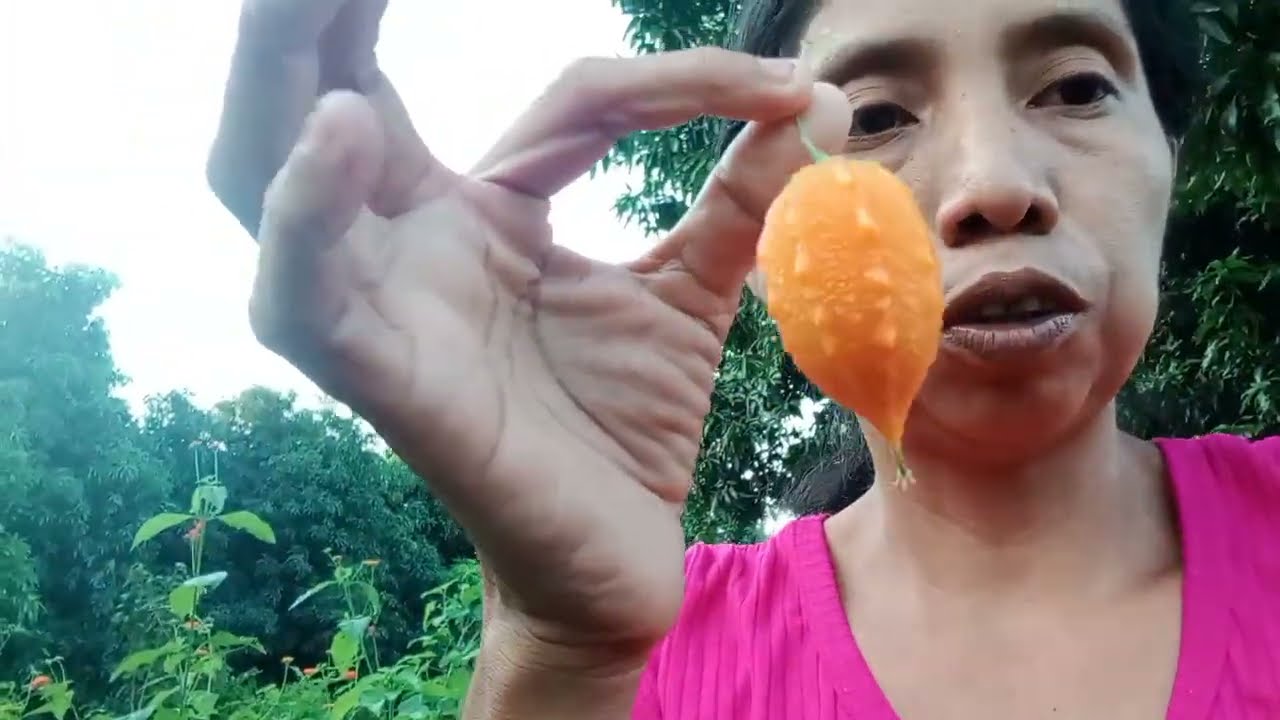 Santo Dios Reyna con Lágrimas en los ojos nos cuenta esto 😭¿Que Está Pasando? 