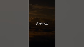 ولو ترى إذ وقفوا على النار فقالوا يا ليتنا نرد ولا نكذب بآيات ربنا ونكون من ..| محمود خليل الحصري