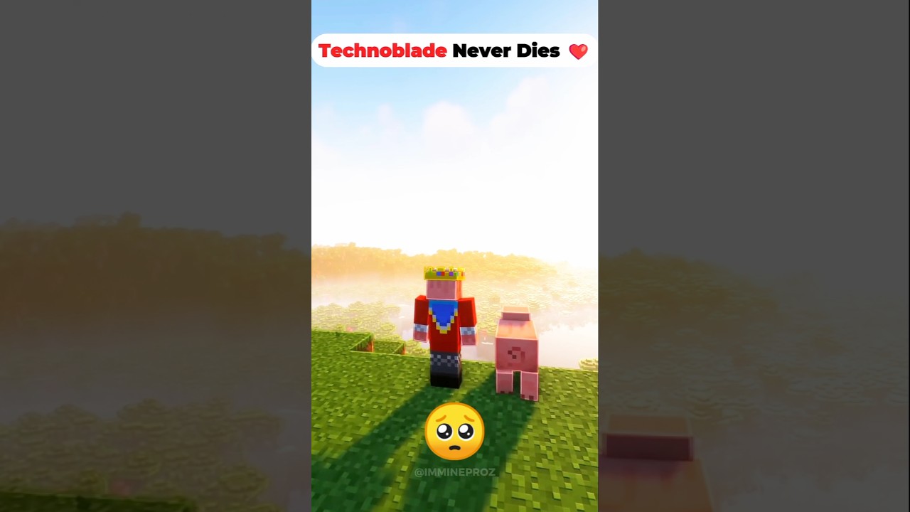 technoblade Sad story in life🥺