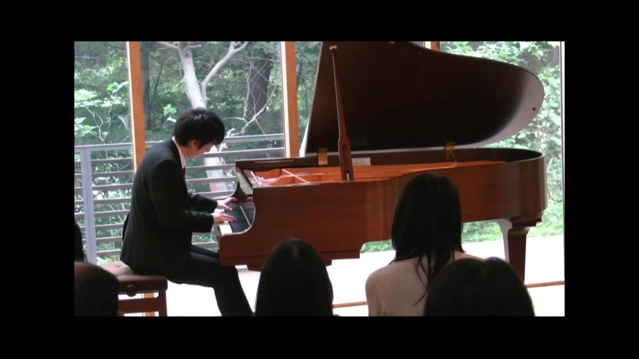 シューマン ダヴィッド同盟舞曲集作品6 第15－18曲 佐野主聞演奏 YouTube