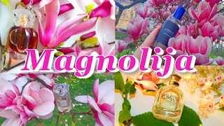 🌺 MAGNOLIJA u PARFEMIMA 🌺Sunny Magnolia🌸Magnolys🌸Pink Magnolia🌸Eau&Magnolia🌸White Magnolia🌸Champaca🌸