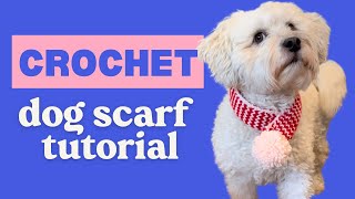 CROCHET - Dog Scarf Tutorial (perfect christmas gift!)