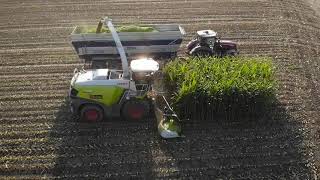 Claas 990 Sloemotion