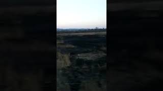 Cuatrerismo en El Molino, Tucumán