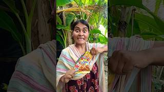 Hai ng Chu Th Thch nh nserasao     shortscute2345