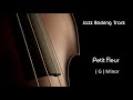 New backing track petit fleur jazz standard mp3 live jazzing high quality dixieland best version