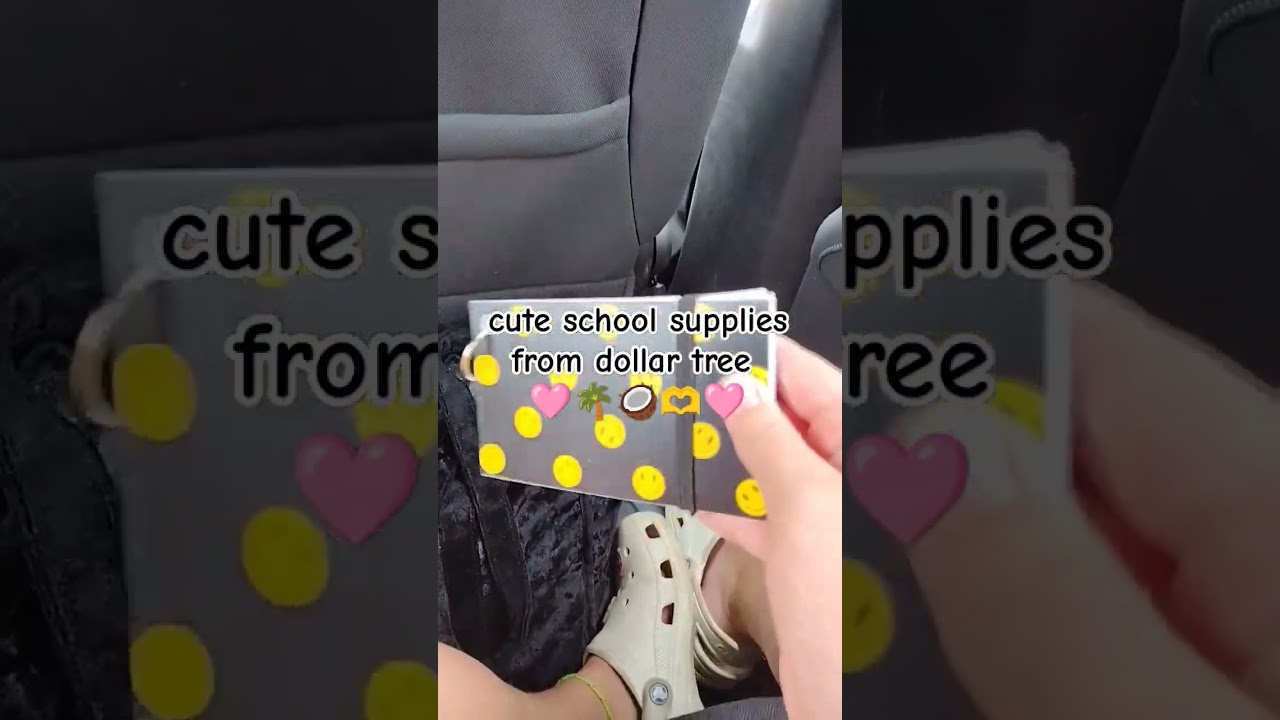 cute school supplies I got from dollar tree! 