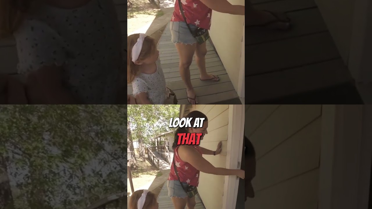 Critter Encounters While RV'ing in Texas Wine Country