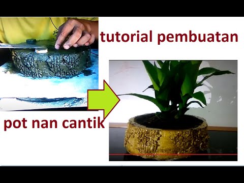 membuat pot  bonsai  nan cantik     