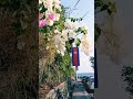 Summer time in Kep city in Cambodia #cambodia #kep #kampot #summer #lofi #chill #lofihiphop #beach