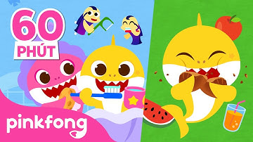 Một ngày của Cá Mập con | + Tuyển tập | Baby Shark Pinkfong! - Nhạc thiếu nhi