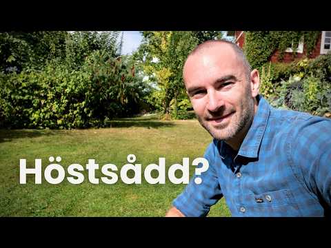 Bästa tiden att så gräsmatta