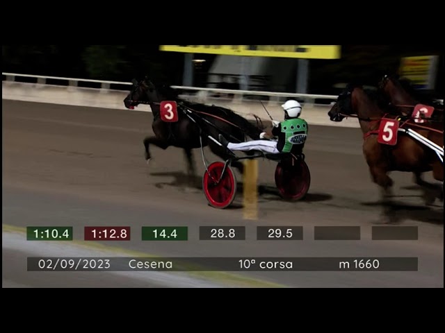 2023 09 02 | Corsa 10 | Metri 1660 | Premio Prodotti Benessere