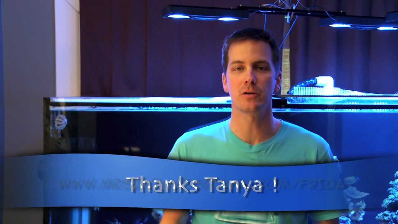 how to videos on tiktok Mr. Saltwater Tank TV Friday AM Quick Tip #113: That Wound Needs Care And I'm Here To Help