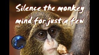 Silence The Monkey Mind
